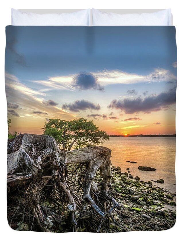 Clouds Duvet Cover featuring the photograph Driftwood at the Edge by Debra and Dave Vanderlaan