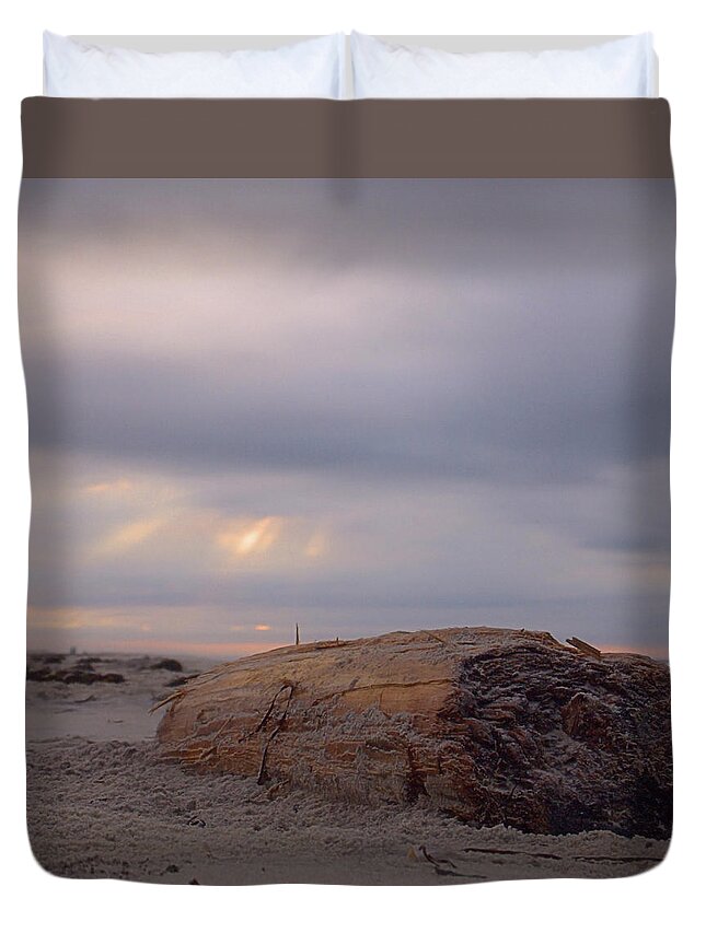 Sun Duvet Cover featuring the photograph Driftwood I I I by Newwwman