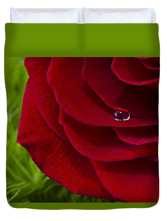 Wall Art Duvet Cover featuring the photograph Drop on a Rose by Marlo Horne