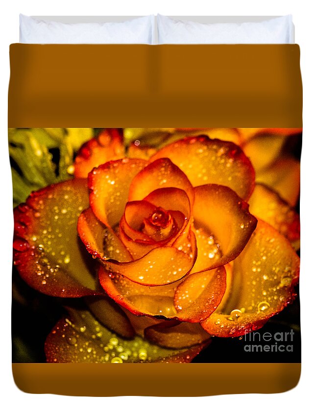 Rose Duvet Cover featuring the photograph Droplet rose by Gerald Kloss