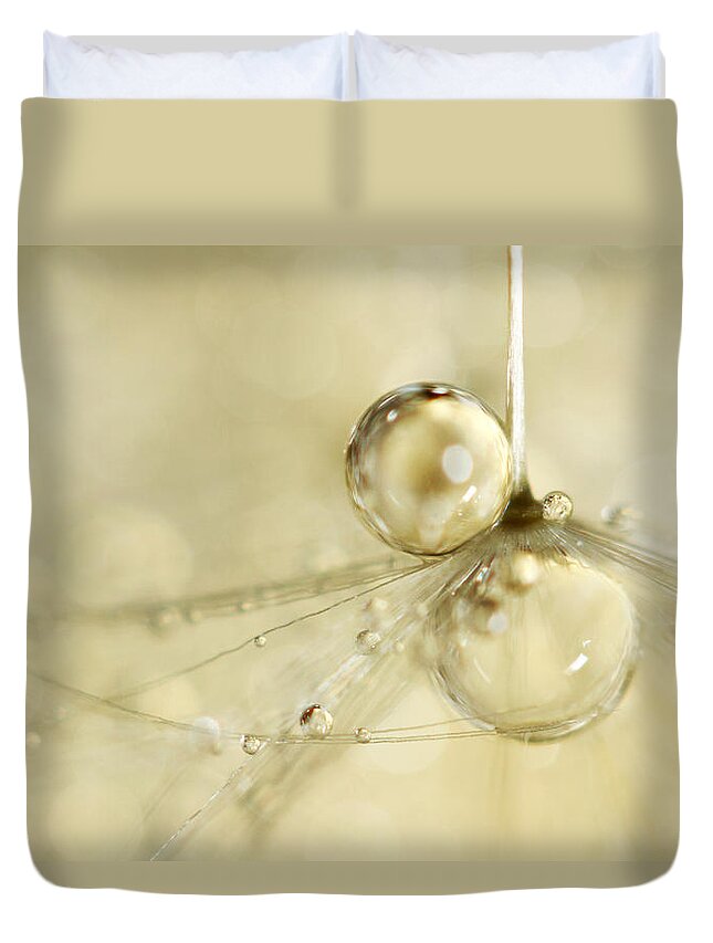 Dandelion Duvet Cover featuring the photograph Droplets in Gold by Sharon Johnstone