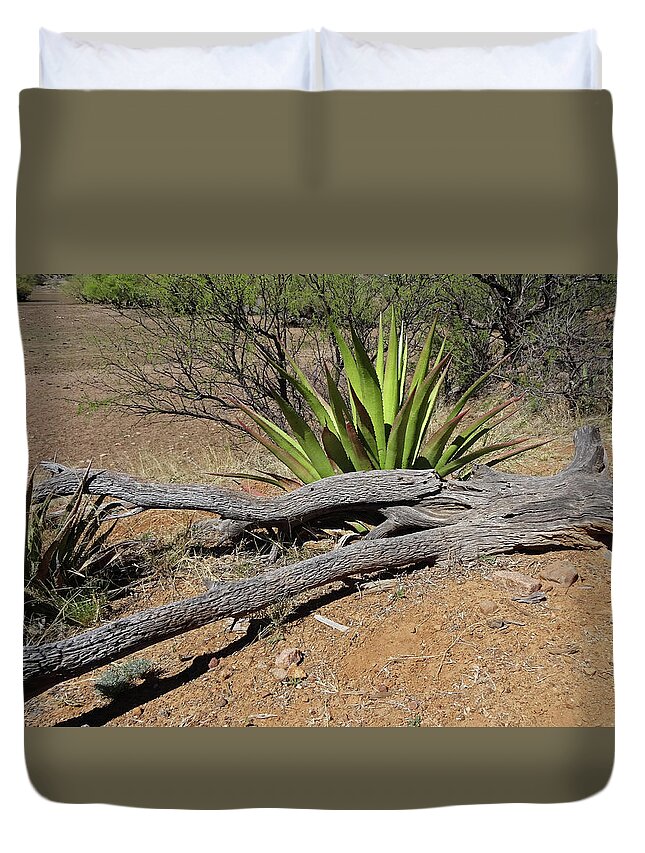 Arizona Duvet Cover featuring the photograph Agave and Log by Tom Daniel