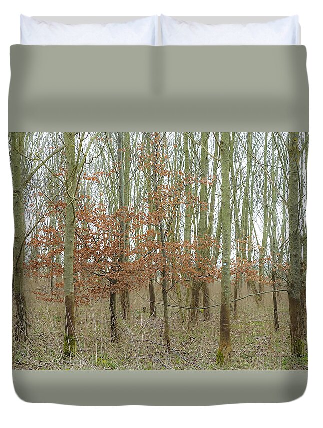 Trees Duvet Cover featuring the photograph Dualing Trees by Matthew Bamberg