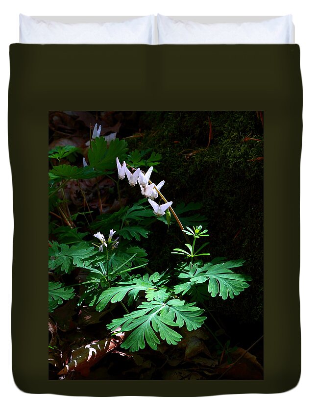 Duchman's Breeches Duvet Cover featuring the photograph Duchman's Breeches at Smith Creek by Michael Dougherty
