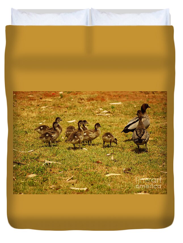 Duck Duvet Cover featuring the photograph Duck Family I by Cassandra Buckley