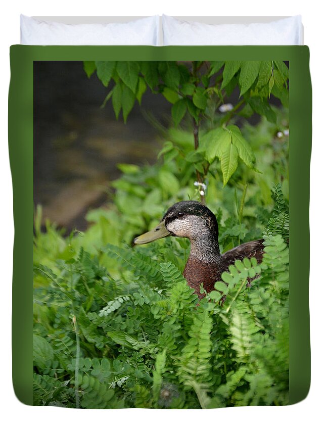 Duck Duvet Cover featuring the photograph Duck In Hiding by Belinda Stucki