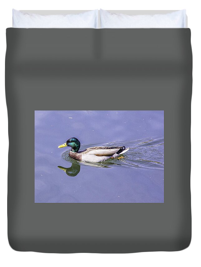 Duck Duvet Cover featuring the photograph Duck on the Move by Allen Nice-Webb