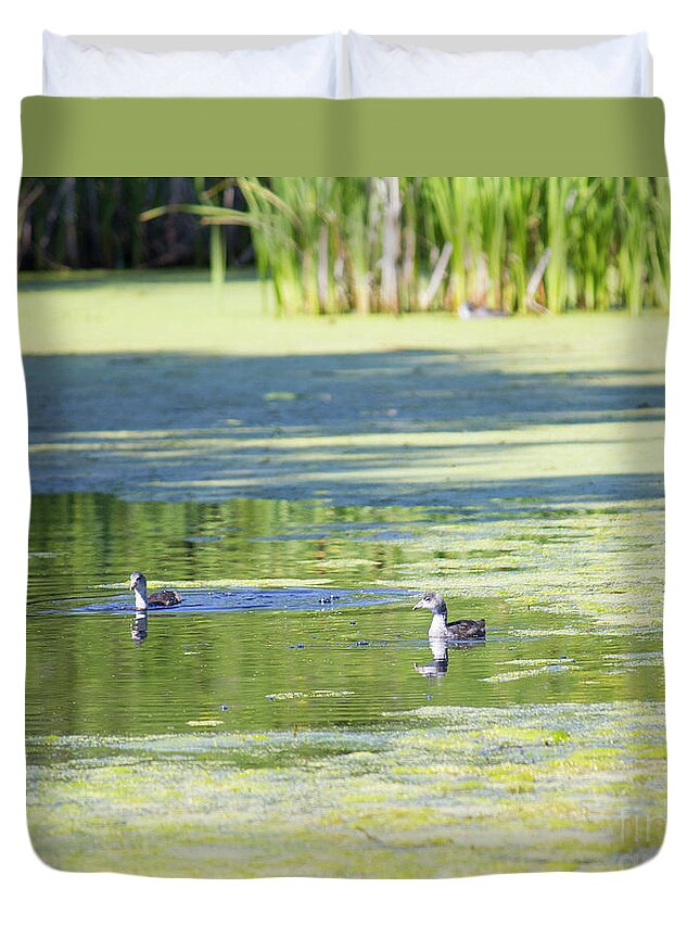 Landscape Duvet Cover featuring the photograph Ducks on Pond by Donna L Munro