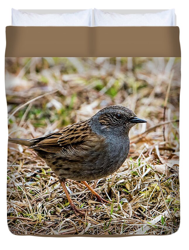 Dunnock Duvet Cover featuring the photograph Dunnock by Torbjorn Swenelius