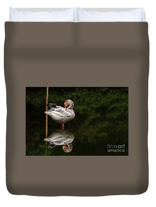 African Goose Duvet Cover featuring the photograph Duo by Lorenzo Cassina
