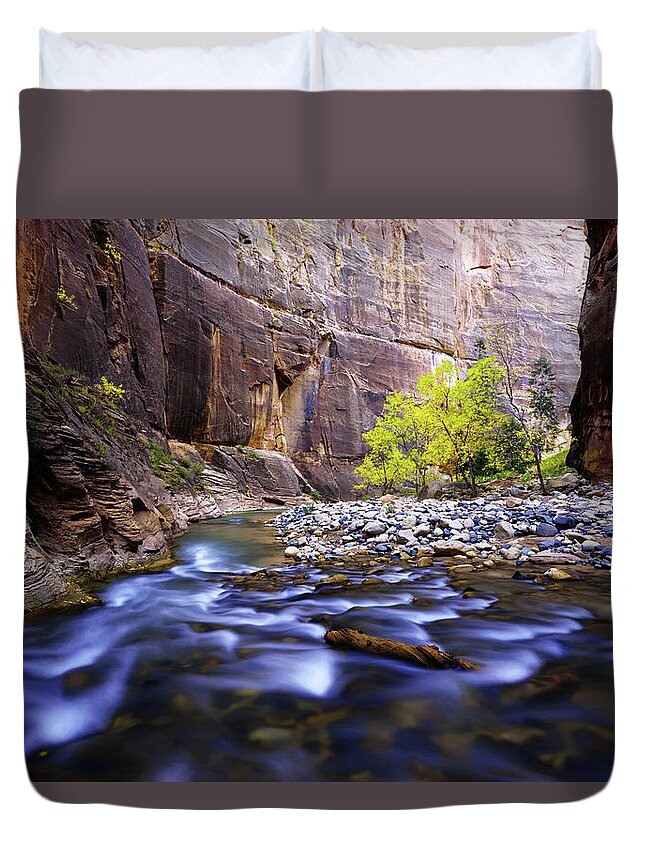Dynamic Zion Duvet Cover featuring the photograph Dynamic Zion by Chad Dutson