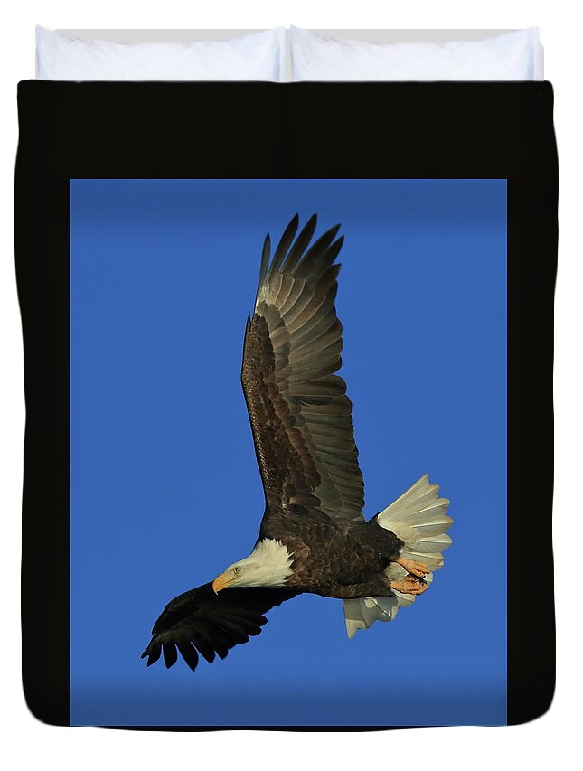 Eagle Duvet Cover featuring the photograph Eagle Diving by Coby Cooper