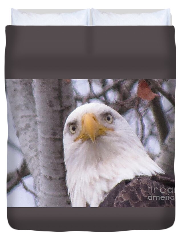 Photograph Duvet Cover featuring the photograph Eagle Eyes by Mary Mikawoz