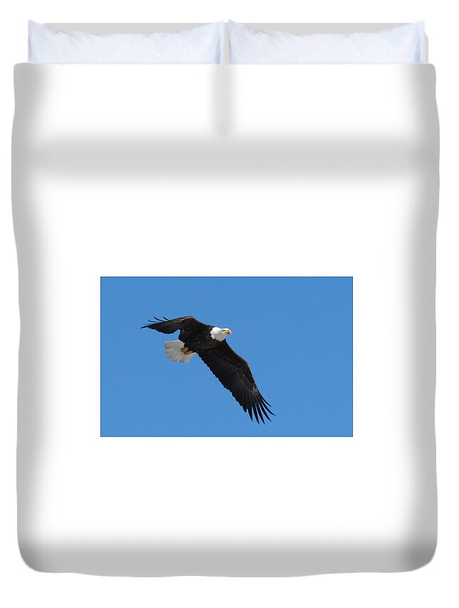 Bald Eagle Duvet Cover featuring the photograph Eagle Flight by Darcy Tate