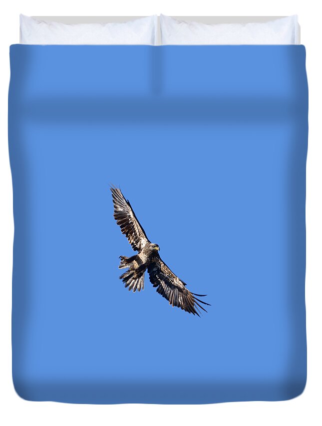 Eagle Duvet Cover featuring the photograph Eagle by Greg Norrell