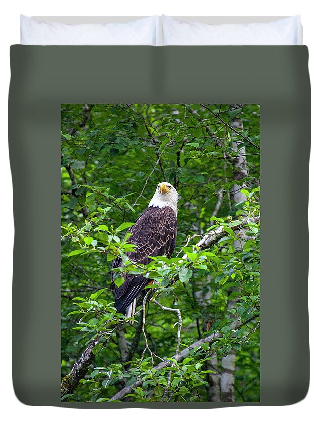Eagle Duvet Cover featuring the photograph Eagle in Tree by Anthony Jones