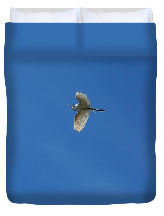 Florida Duvet Cover featuring the photograph Eagle Lakes Park - Great Egret in Flight by Ronald Reid