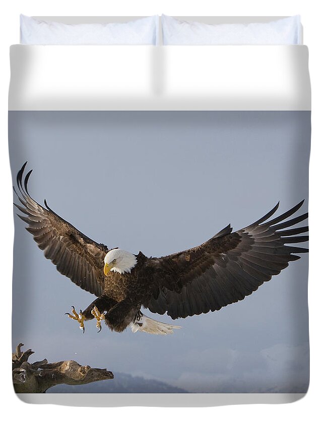 Eagle Duvet Cover featuring the photograph Eagle Landing by Mark Miller
