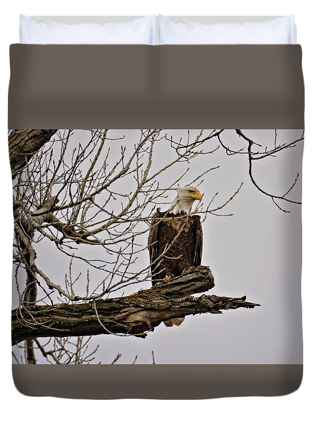 South Dakota Duvet Cover featuring the photograph Eagle by M Dale