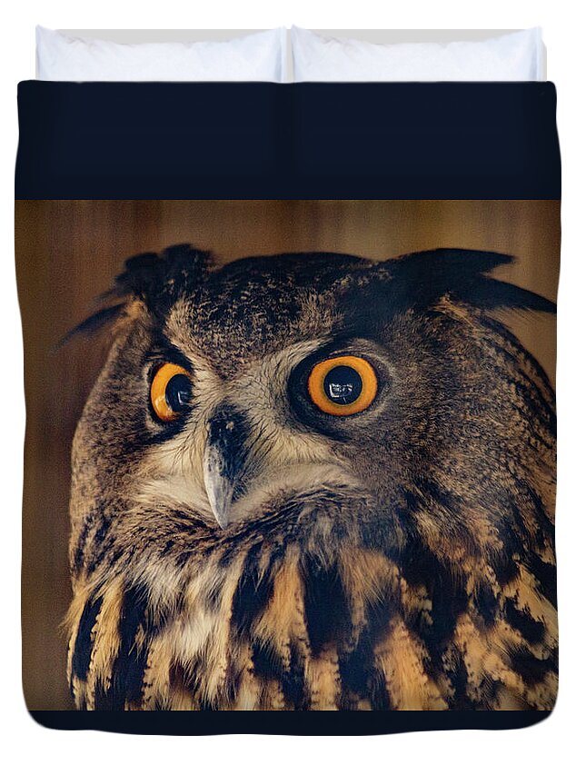 United States Duvet Cover featuring the photograph Eagle Owl by SAURAVphoto Online Store