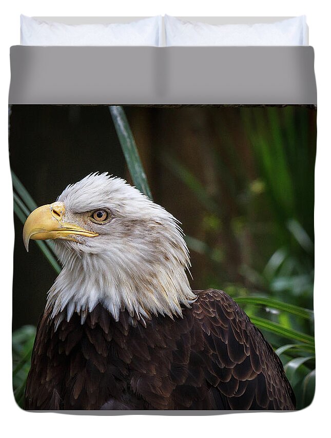 Eagle Duvet Cover featuring the photograph Eagle Portrait by Les Greenwood