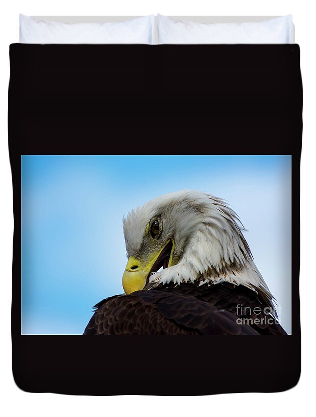 Eagle Duvet Cover featuring the photograph Eagle by Quinn Sedam