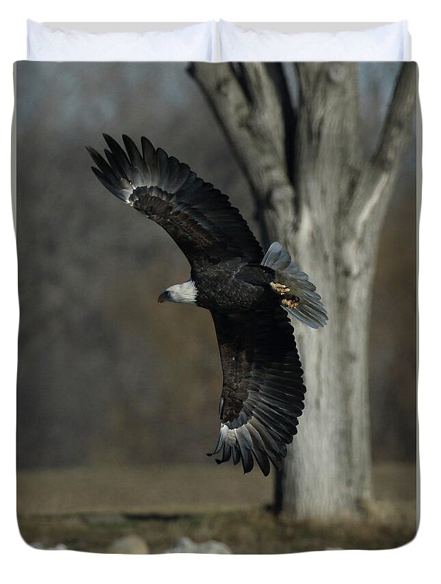 Eagle Duvet Cover featuring the photograph Eagle Soaring by Tree by Coby Cooper