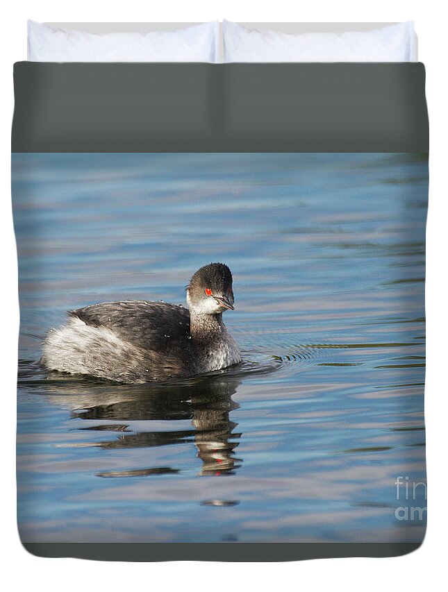 Grebe Duvet Cover featuring the photograph Eared Grebe by Ruth Jolly
