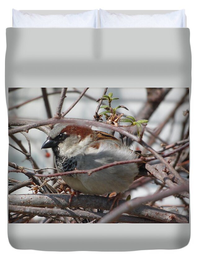 Bird Duvet Cover featuring the photograph Early Bird by Antonio Moore