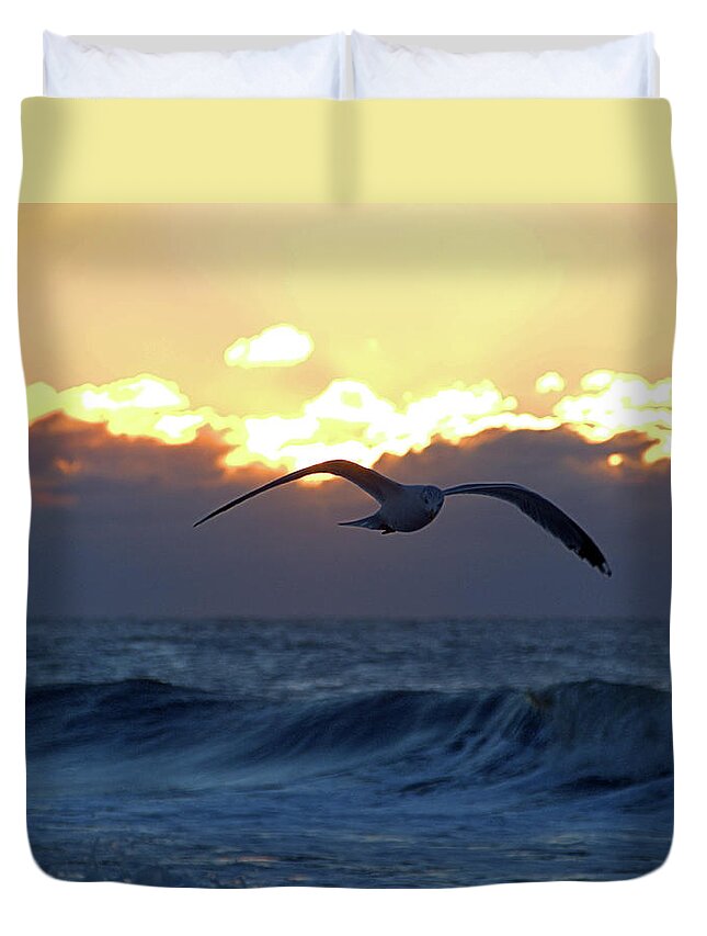 Seas Duvet Cover featuring the photograph Early Bird by Newwwman