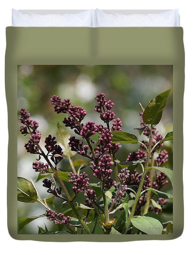 Lilacs Duvet Cover featuring the photograph Early Lilacs by Tracey Vivar