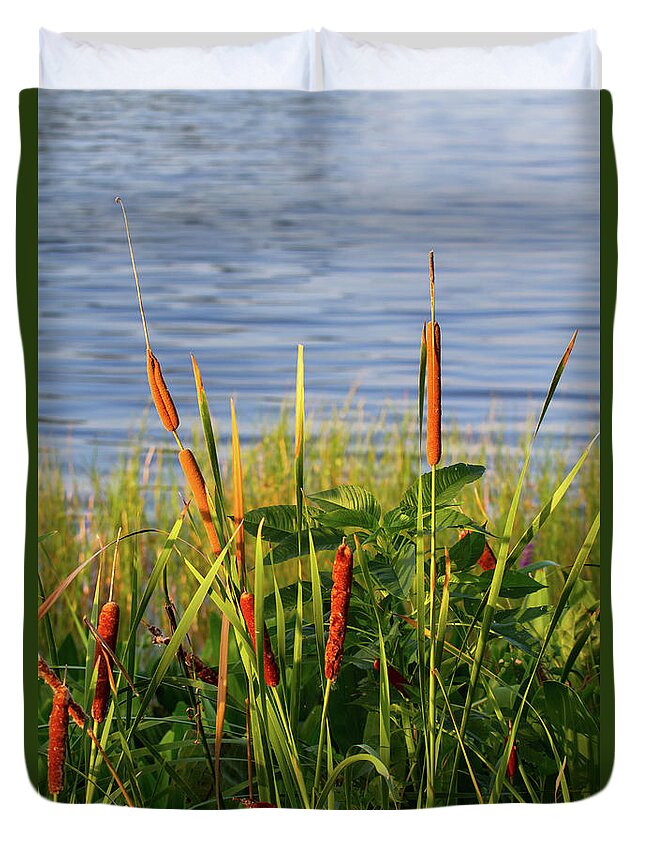 Nature Duvet Cover featuring the photograph Early Morning Cattails by Arthur Dodd
