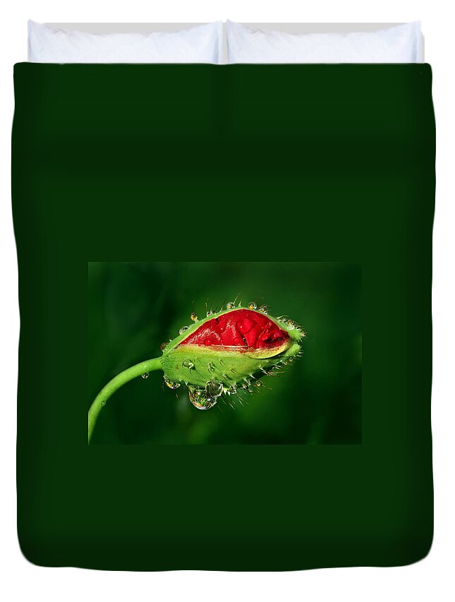 Poppy Duvet Cover featuring the photograph Early Morning Poppy by Yuri Peress