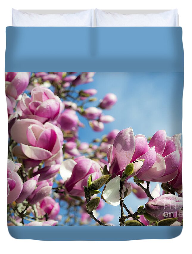Magnolia Duvet Cover featuring the photograph Early Spring Magnolia by Angela DeFrias