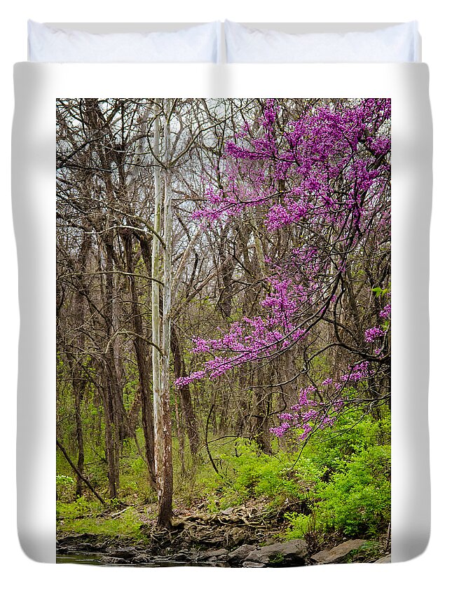 Nature Duvet Cover featuring the photograph Early Spring on Mill Creek by Jeff Phillippi