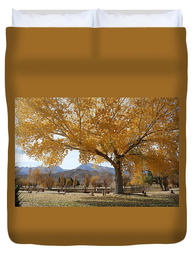 Earthy Duvet Cover featuring the photograph Earthy Fall Colors by Tammy Pool
