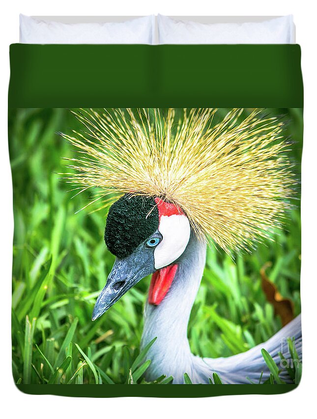 East African Crowned Crane Duvet Cover featuring the photograph East African Crowned Crane by Rene Triay FineArt Photos