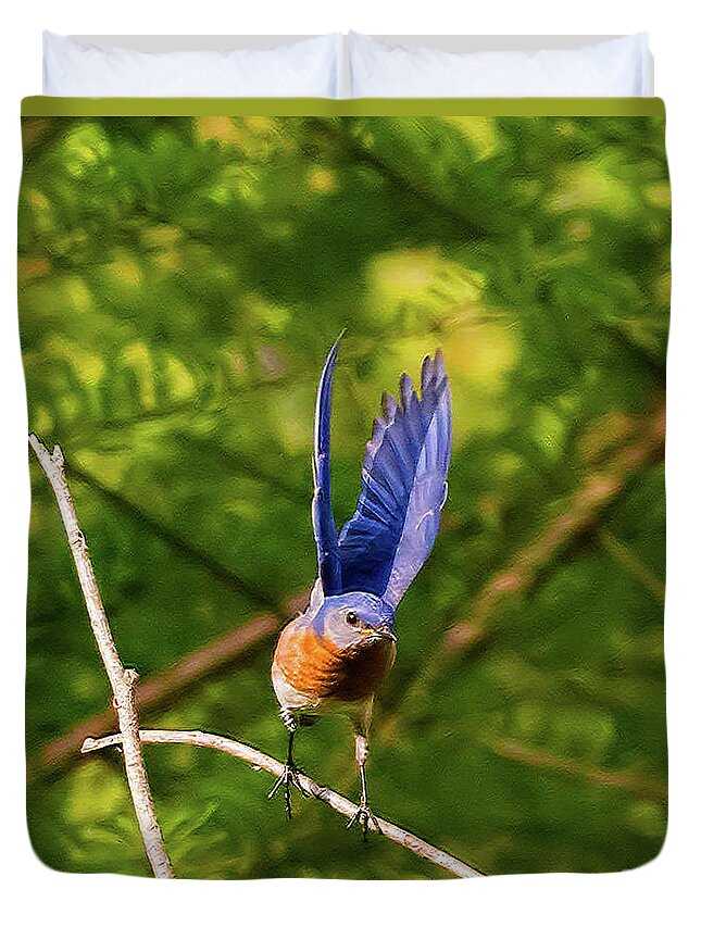 Bluebird Duvet Cover featuring the photograph Eastern Bluebird - Lift Off by DB Hayes