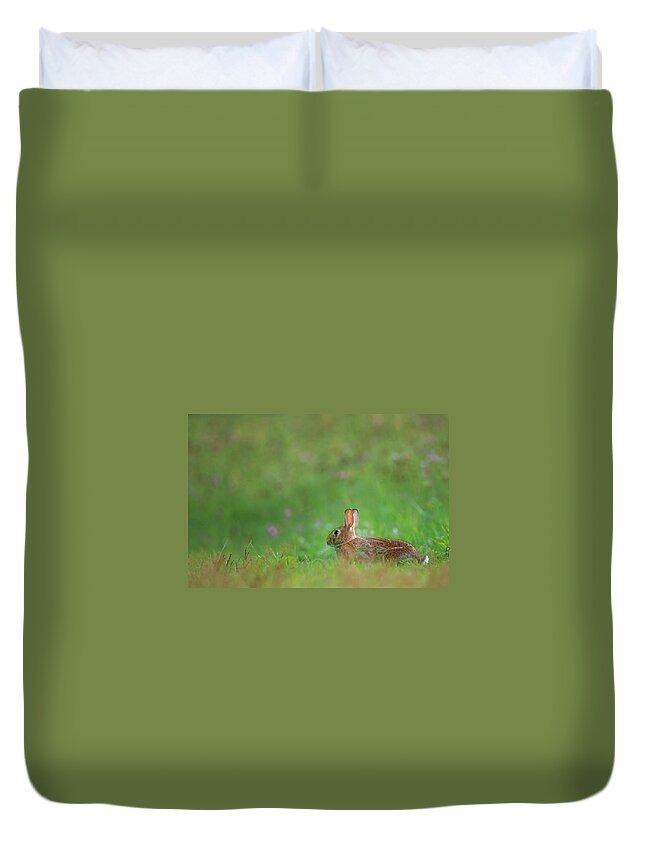 Rabbit Duvet Cover featuring the photograph Eastern Cottontail 2016 by Bill Wakeley