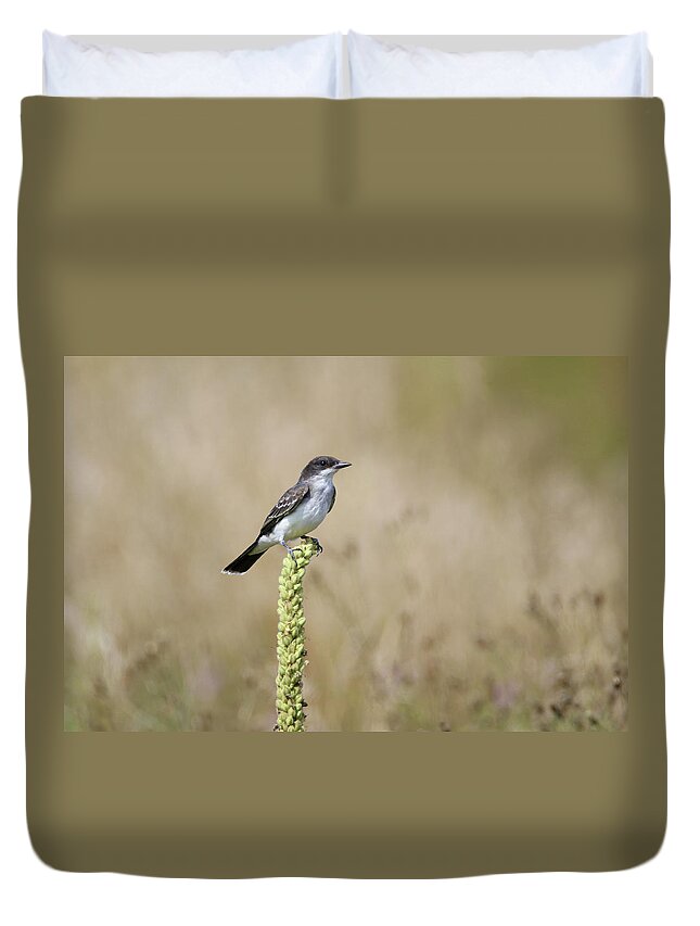 Eastern Kingbird Duvet Cover featuring the photograph Eastern Kingbird On Mullein Plant by Brook Burling