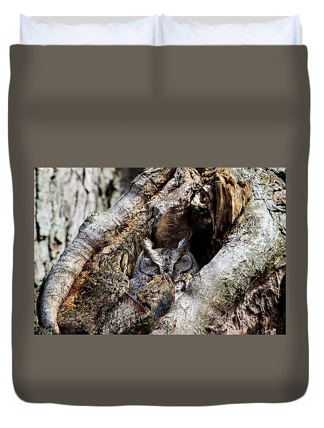 Gary Hall Duvet Cover featuring the photograph Eastern Screech Owl Gray Morph by Gary Hall