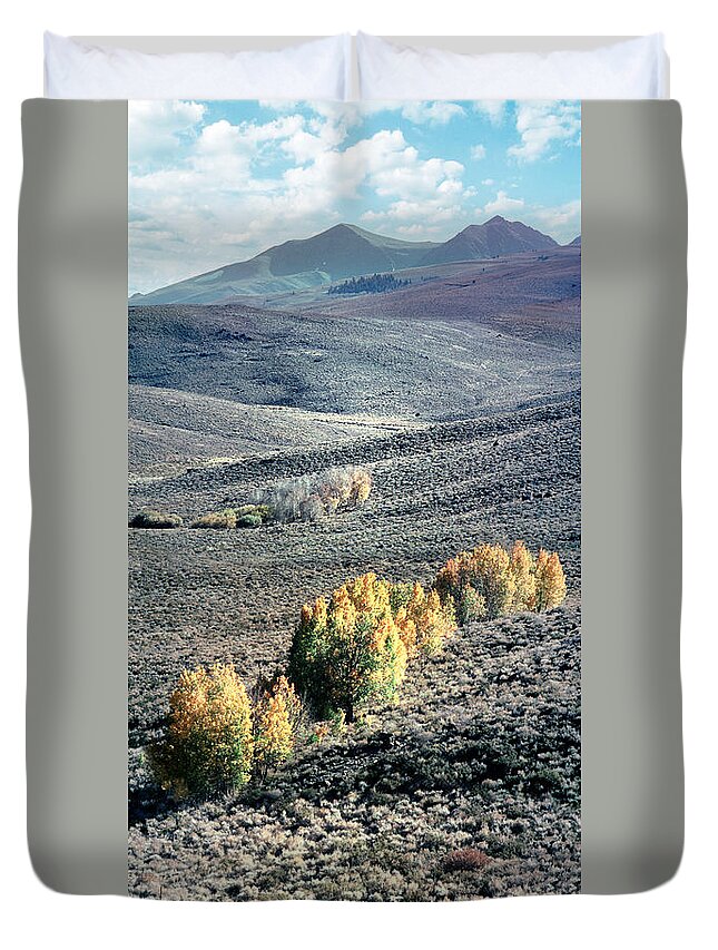 Northern California Duvet Cover featuring the photograph Eastern Sierra Nevada Autumn Landscape by Wernher Krutein