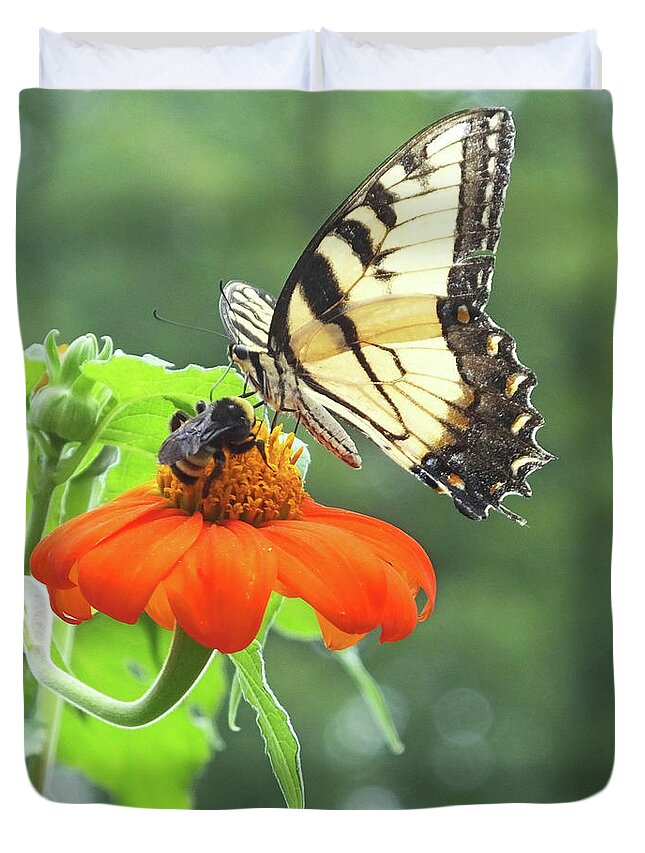 Bumble Bee Duvet Cover featuring the photograph Eastern Tiger Swallowtail 27 by Lizi Beard-Ward