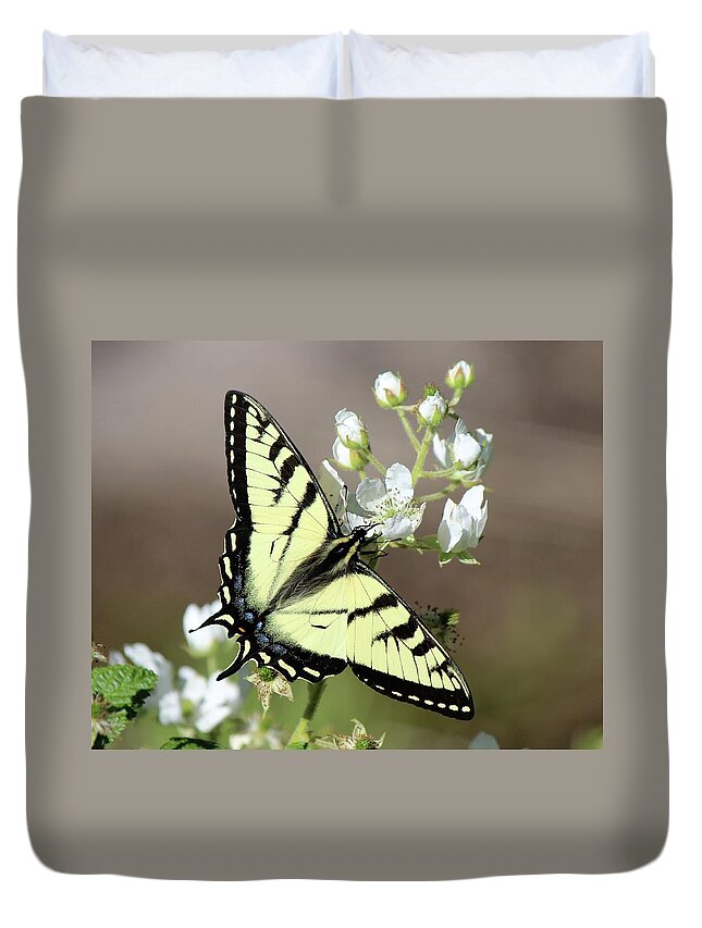 Butterfly Duvet Cover featuring the photograph Eastern Tiger Swallowtail Female by David Pickett