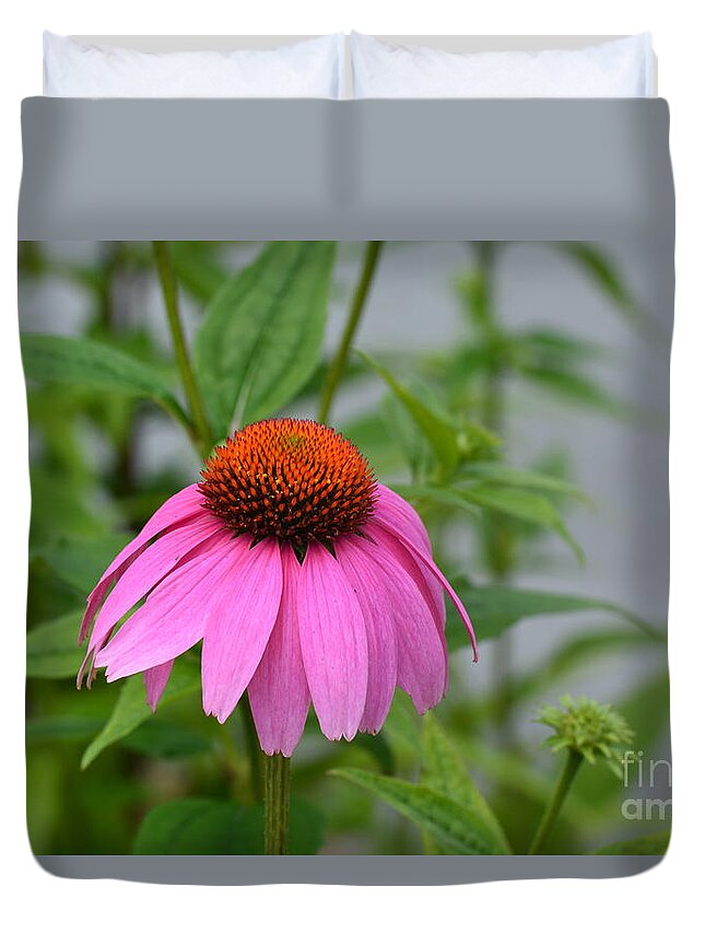 Echinacea 16-01 Duvet Cover featuring the photograph Echinacea 16-01 by Maria Urso