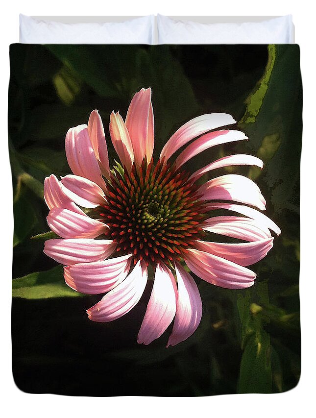 Flower Duvet Cover featuring the photograph Echinacea by Steve Karol