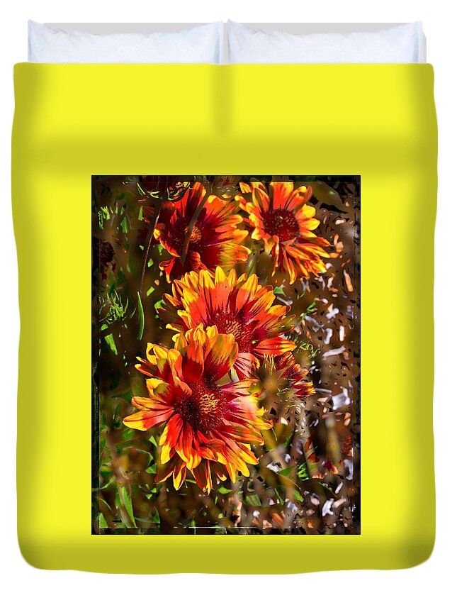 Echinacea Duvet Cover featuring the photograph Echinacea by Thom Zehrfeld