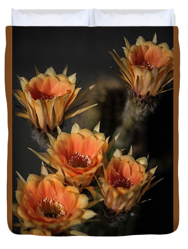 Echinopsis Duvet Cover featuring the photograph Echinopsis by Karen Slagle