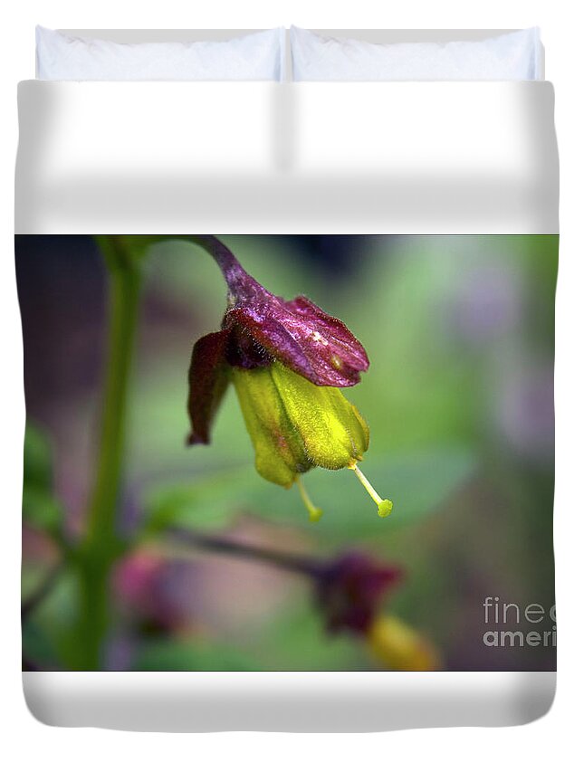 #alberta #nature Duvet Cover featuring the photograph Echoe by Jacquelinemari