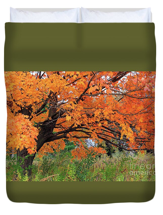 Edna's Tree Duvet Cover featuring the photograph Edna's Tree by Paula Guttilla